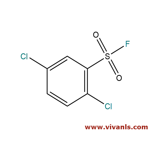Building Blocks-2,5-Dichlorobenzenesulfonyl fluoride-1655709595.png